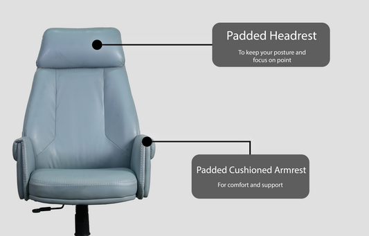 Chairish Eminence Edge Executive Chair